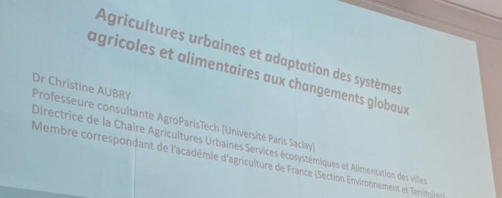 Chaire Francqui : L’agriculture urbaine, une opportunité